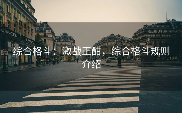 综合格斗：激战正酣，综合格斗规则介绍