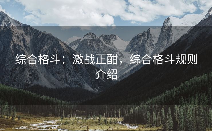 综合格斗：激战正酣，综合格斗规则介绍