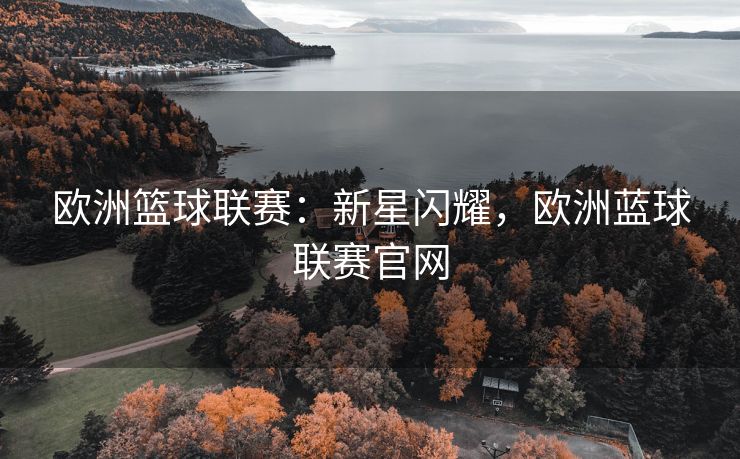 欧洲篮球联赛：新星闪耀，欧洲蓝球联赛官网