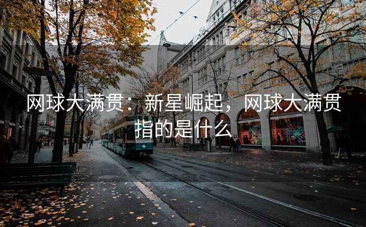 网球大满贯：新星崛起，网球大满贯指的是什么