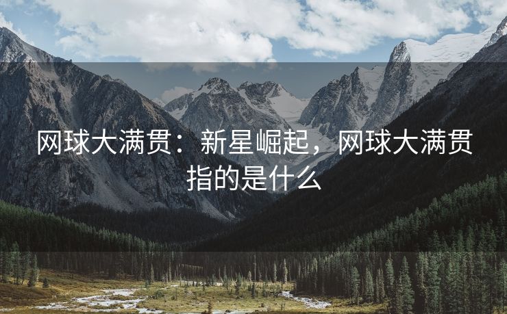网球大满贯：新星崛起，网球大满贯指的是什么